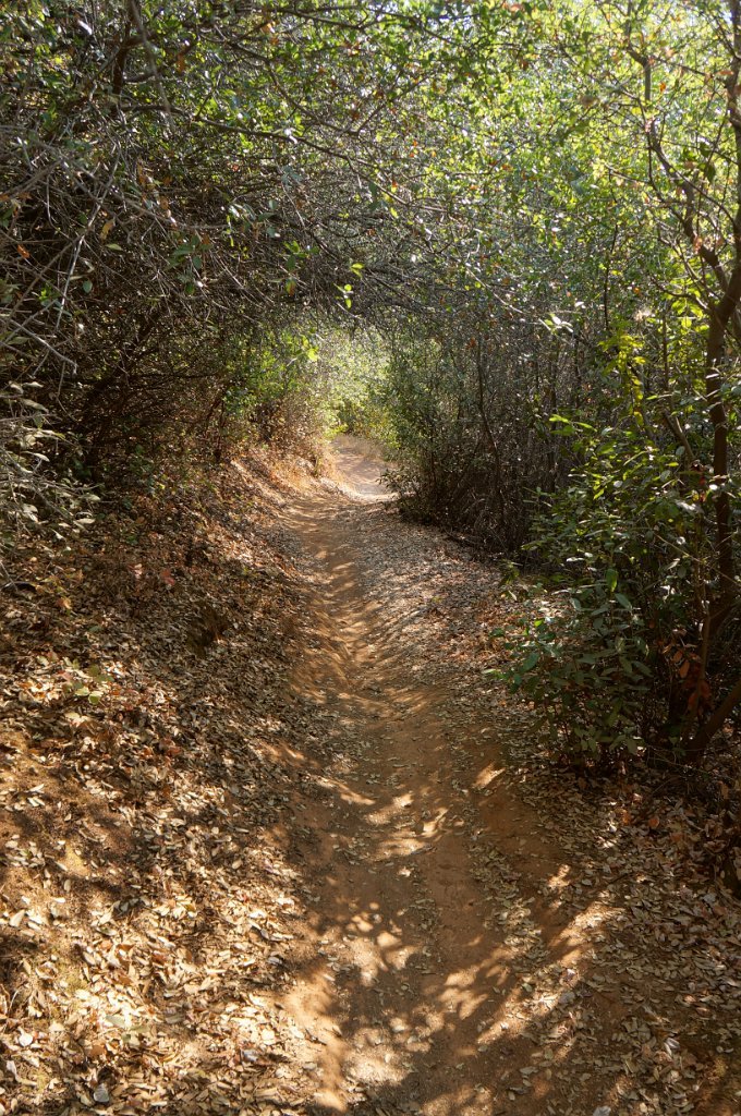 DSC06518