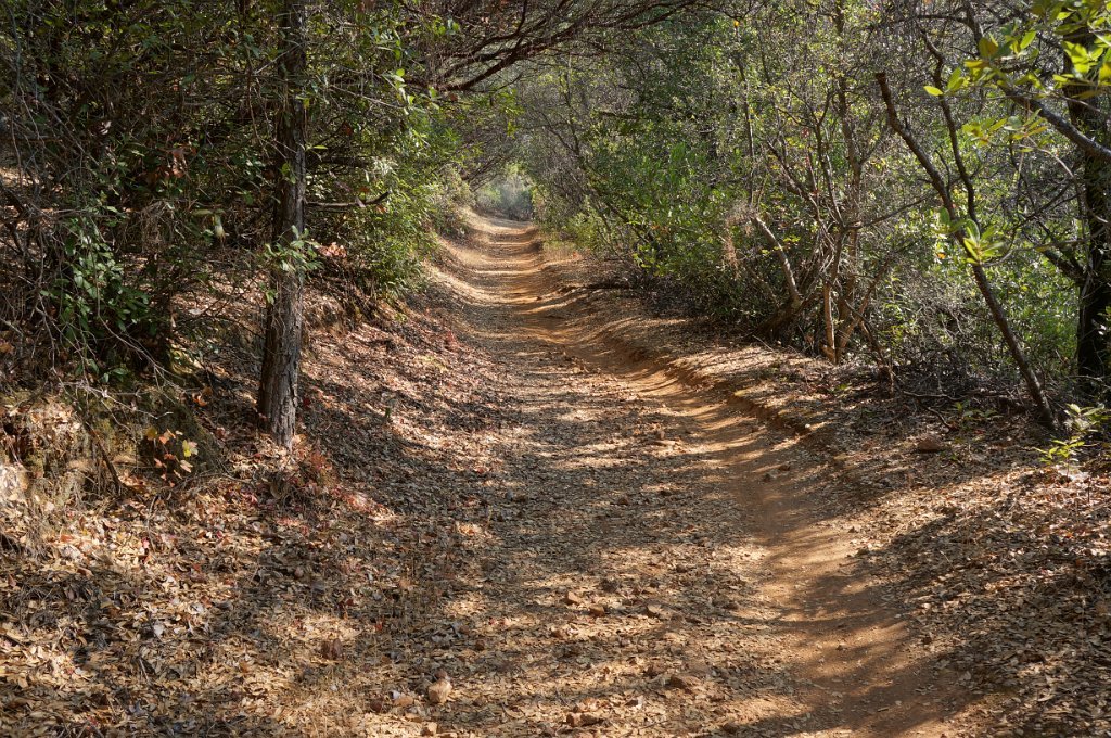 DSC06549