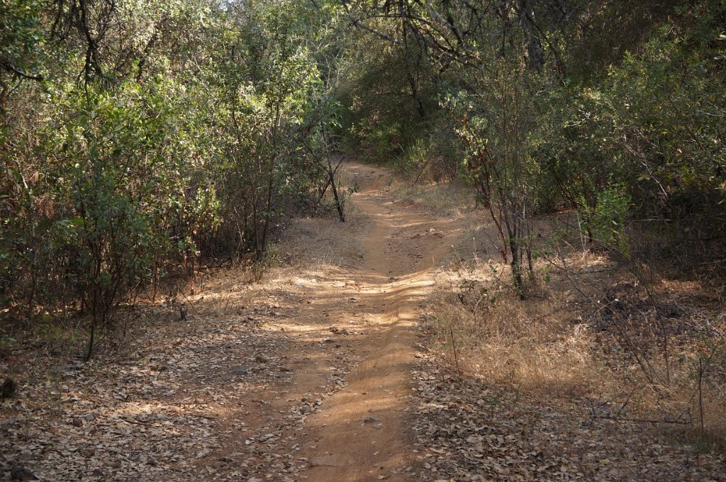 DSC06565