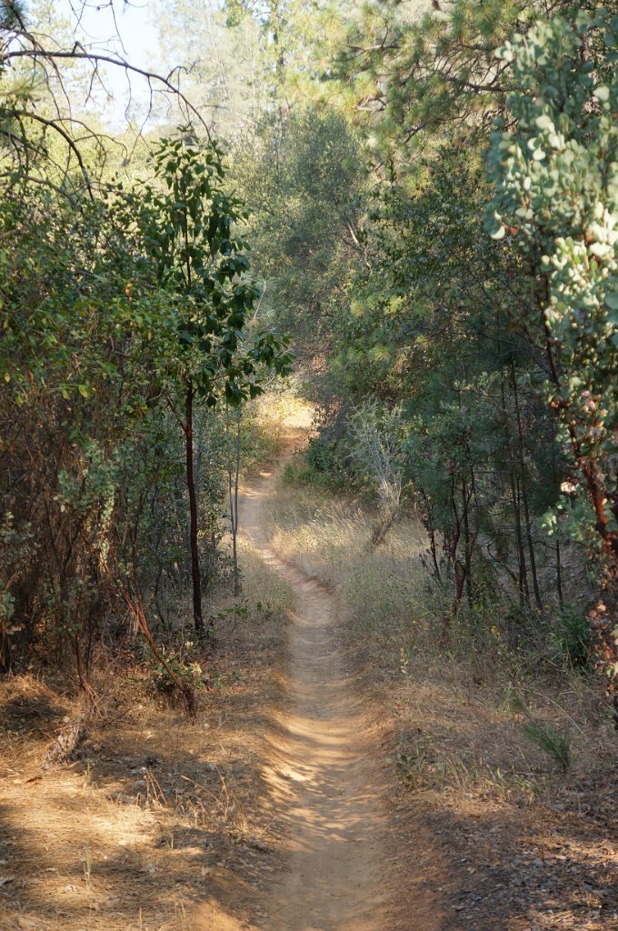DSC06568