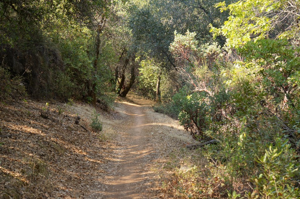 DSC06580