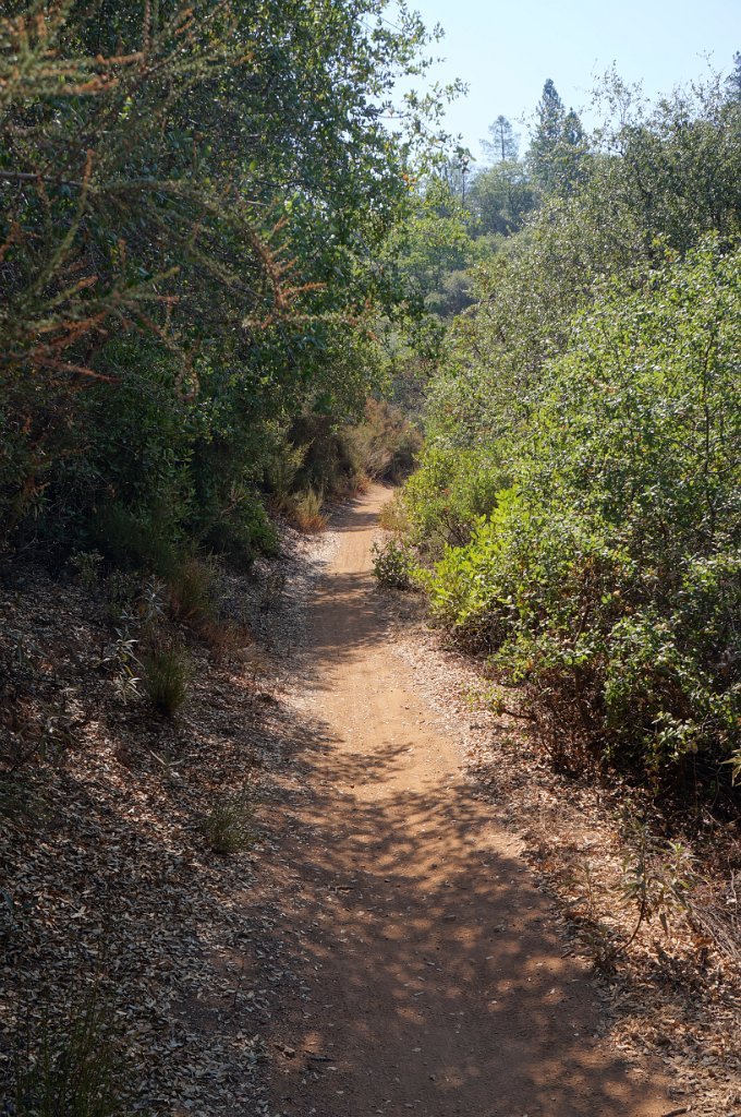 DSC06585