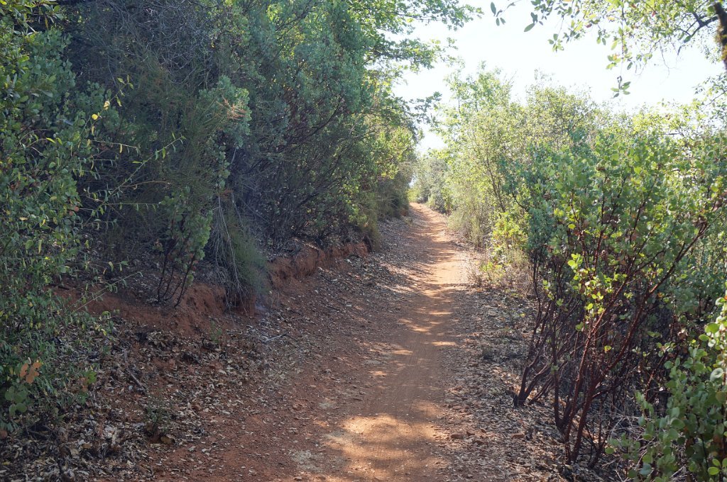 DSC06591
