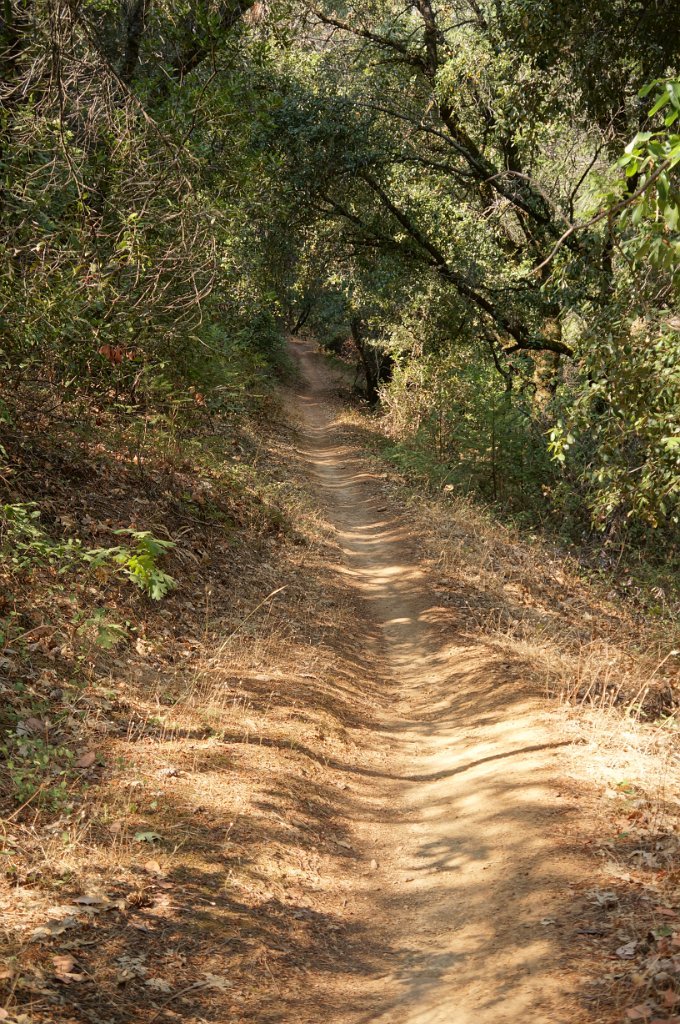 DSC06595
