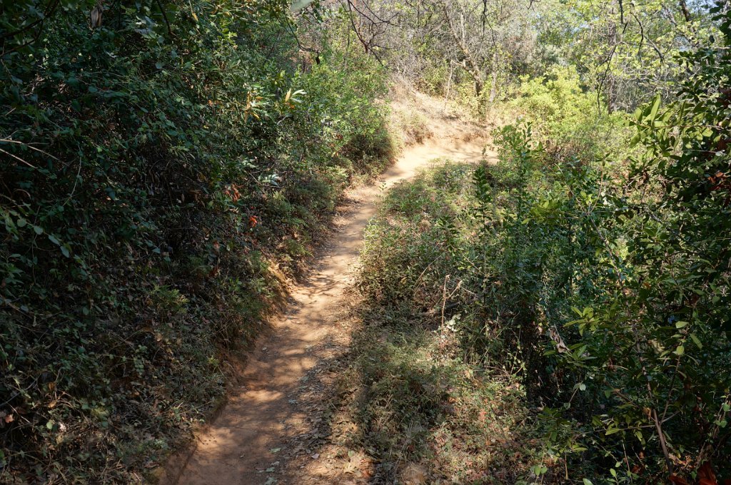 DSC06599
