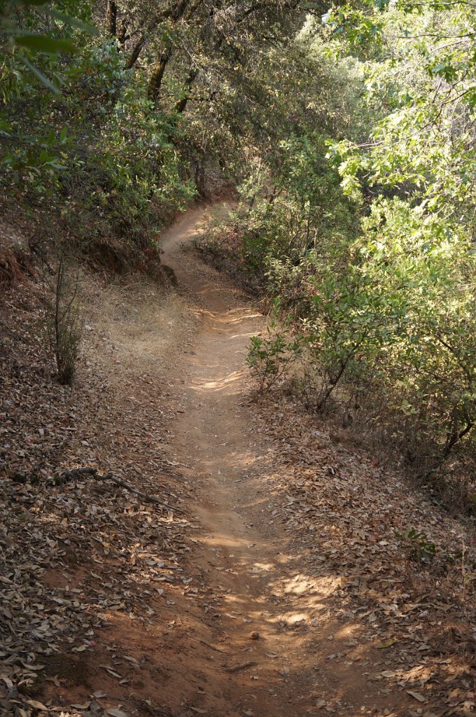 DSC06600