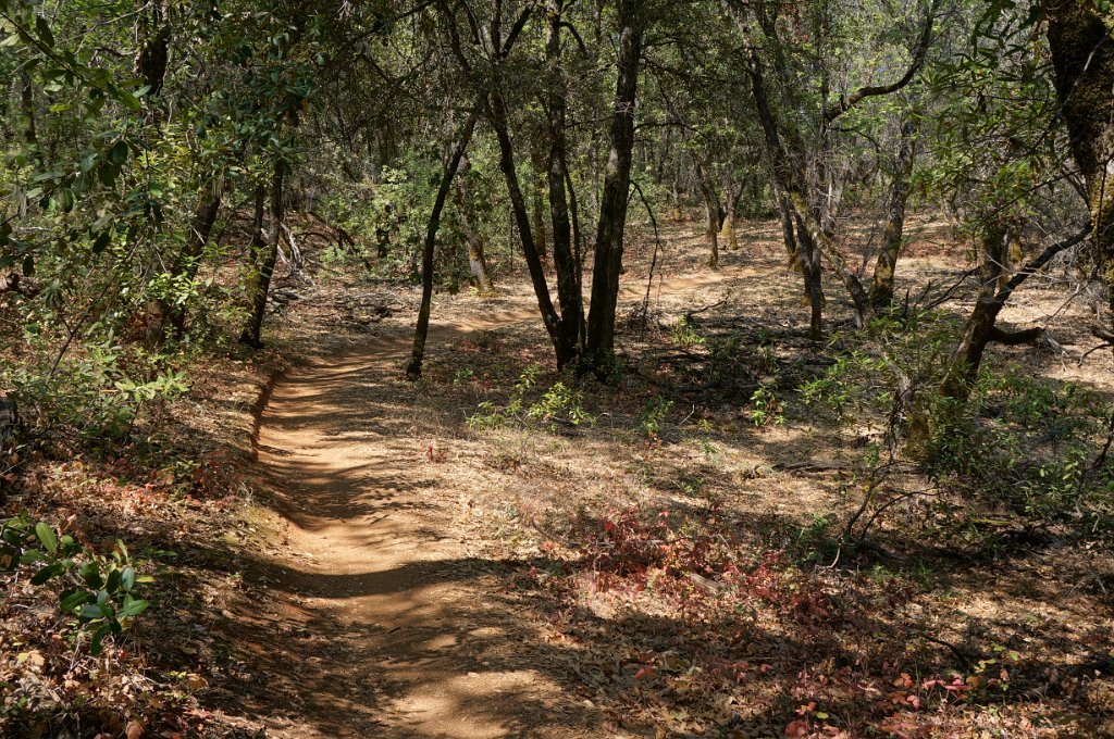 DSC06615
