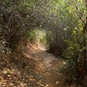 DSC06518