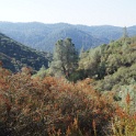 DSC06519