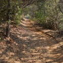 DSC06549