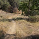 DSC06559
