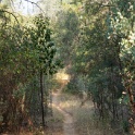 DSC06568