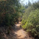 DSC06585