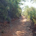 DSC06591