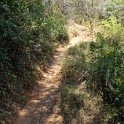 DSC06599