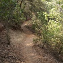DSC06600