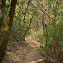 DSC06611