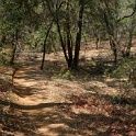 DSC06615