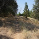 DSC06622