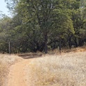 DSC06624