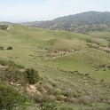 IMG_1865