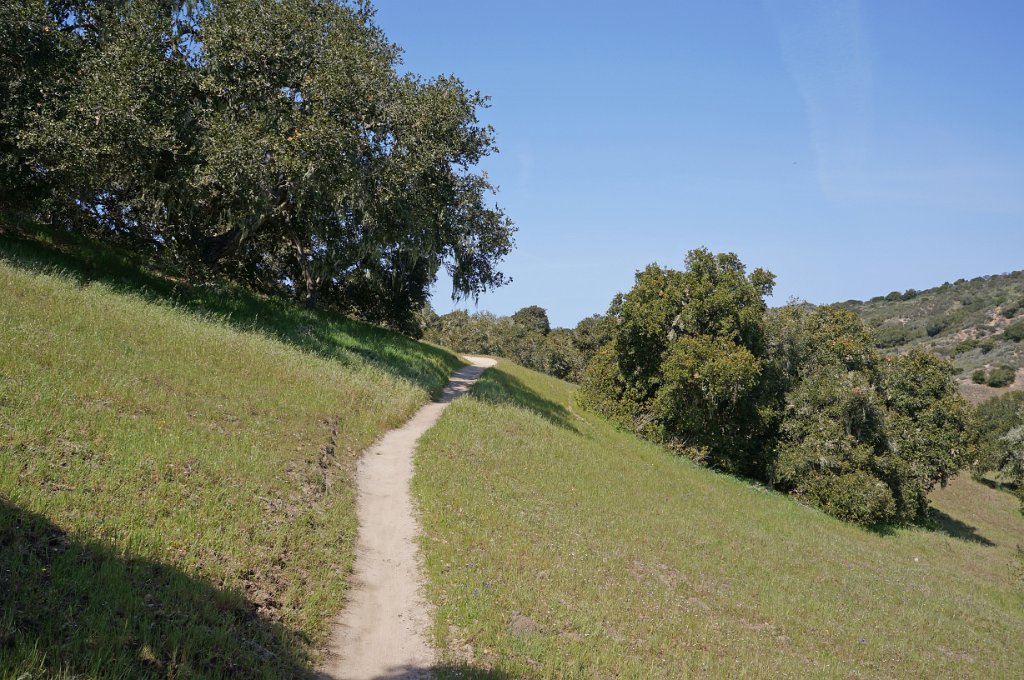 DSC01449