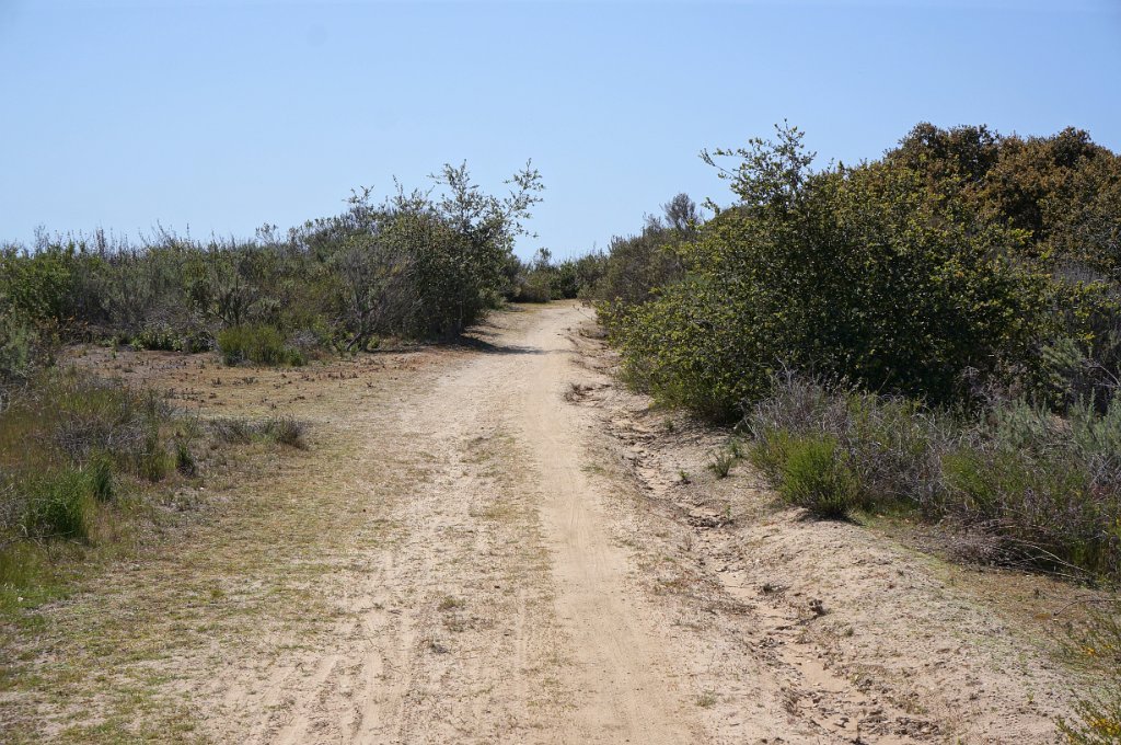 DSC01478