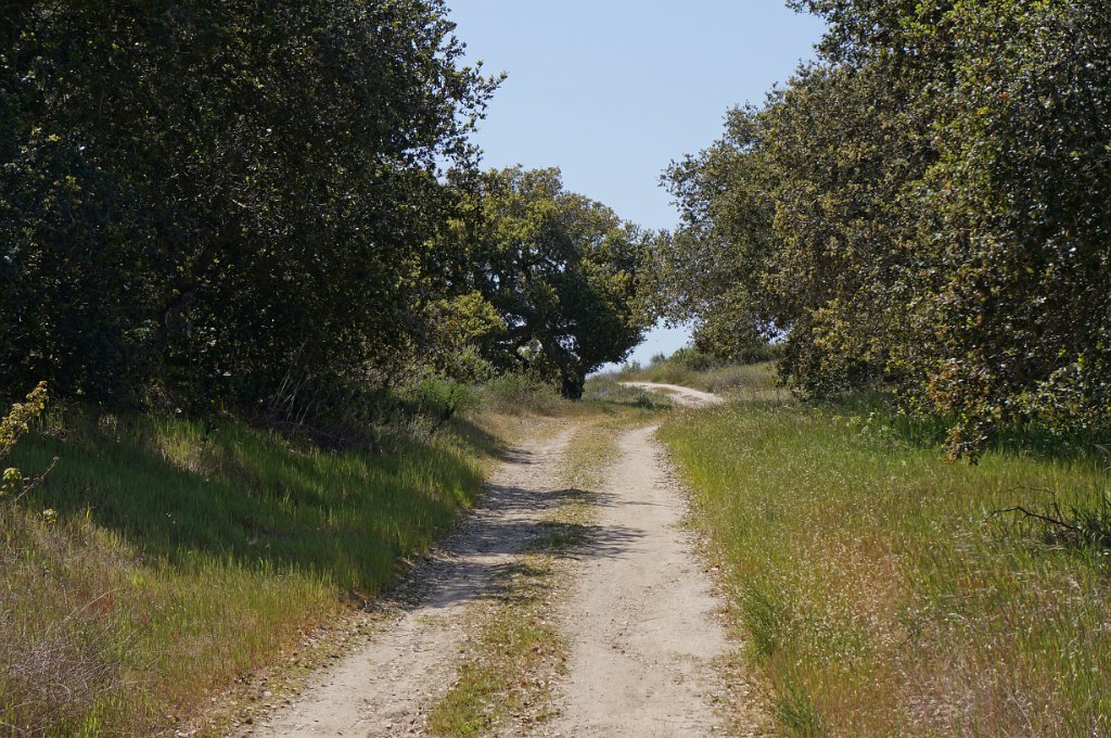 DSC01480