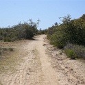 DSC01478