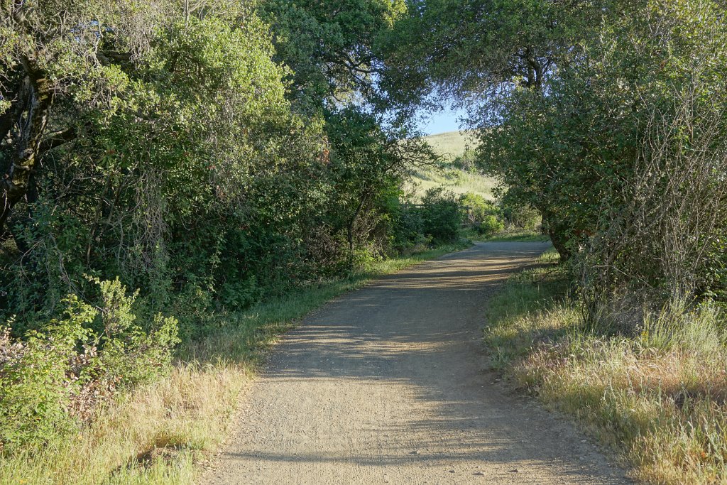 DSC02494