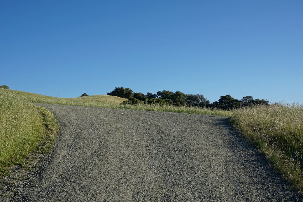 DSC02501