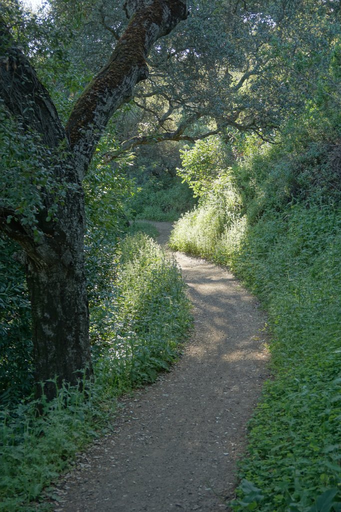 DSC02509