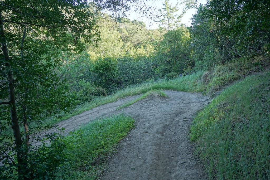 DSC02514