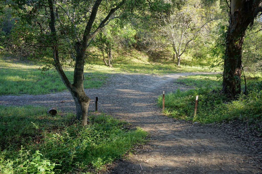 DSC02516