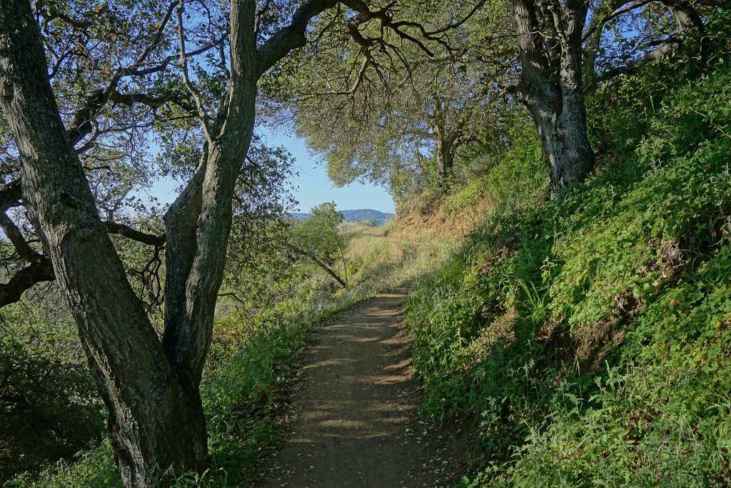 DSC02530