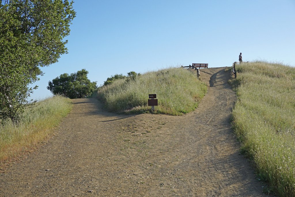 DSC02553