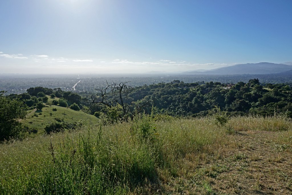 DSC02558