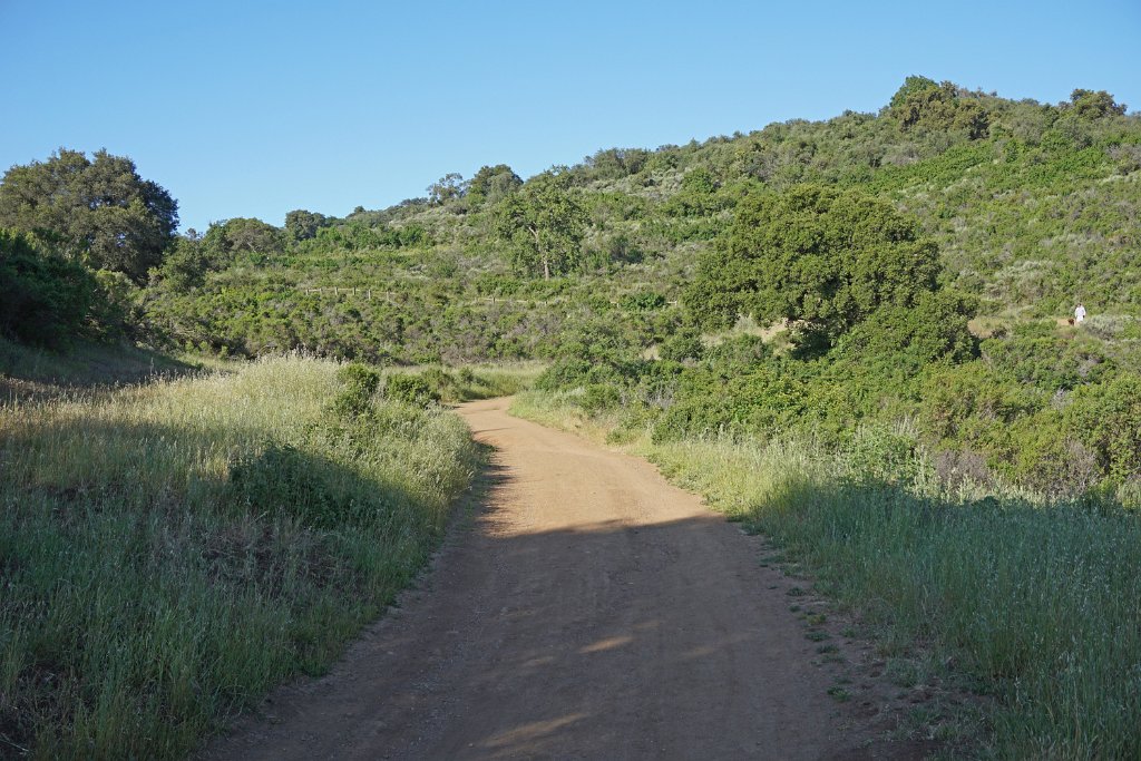DSC02565