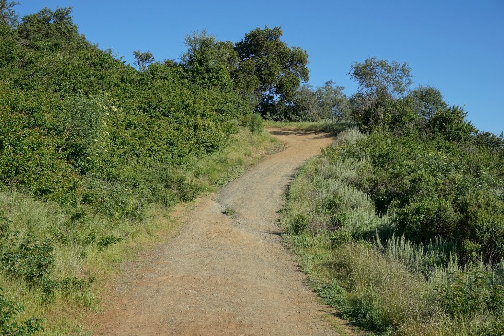 DSC02572