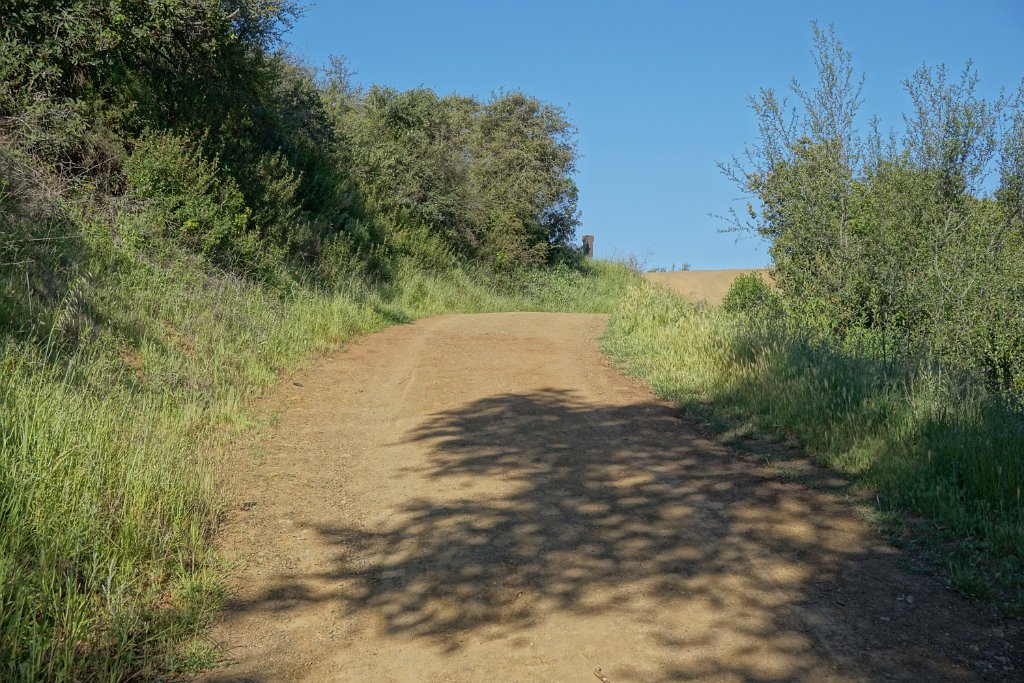 DSC02574