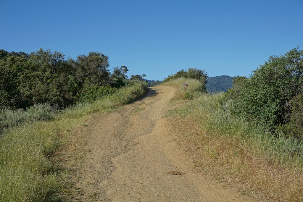 DSC02580