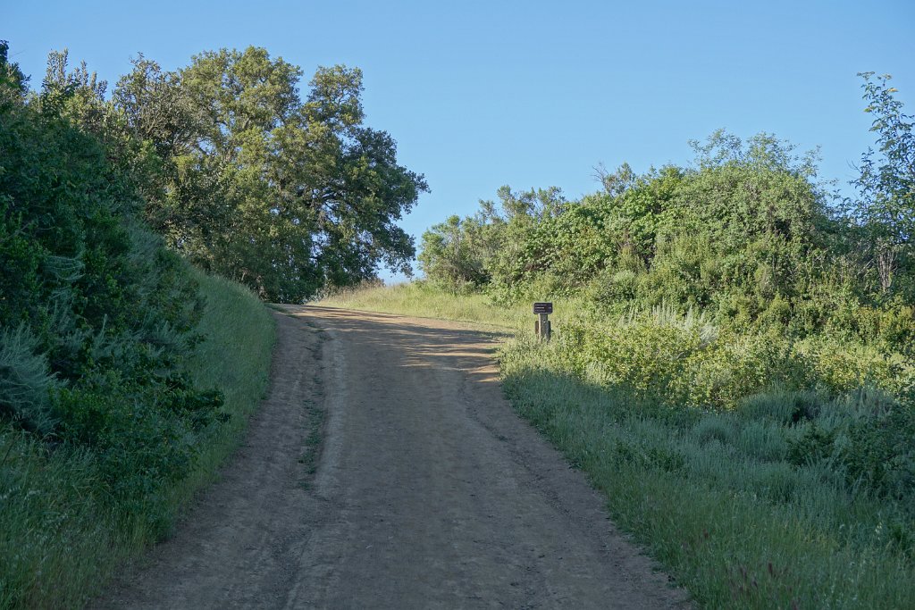 DSC02592