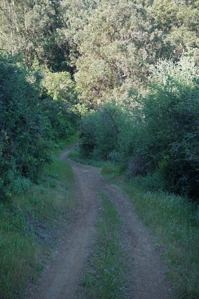 DSC02624