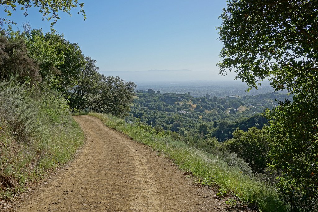 DSC02640