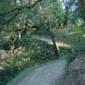 DSC02490