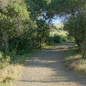 DSC02494