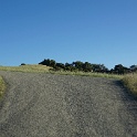 DSC02501