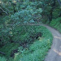 DSC02510