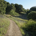 DSC02519