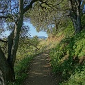DSC02530